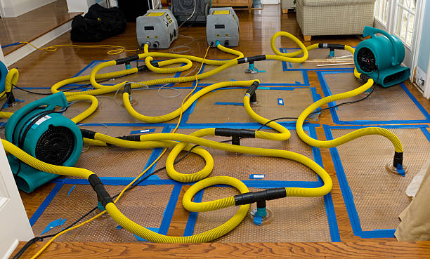 Professional Crawl Space Water Removal technician working in Canton, OH